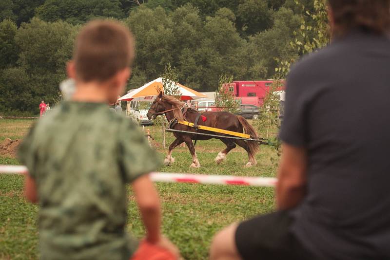 Na závody vozatajů se v sobotu na závodiště u rosického Moravského plynostavu vypravilo přes tři sta návštěvníků.