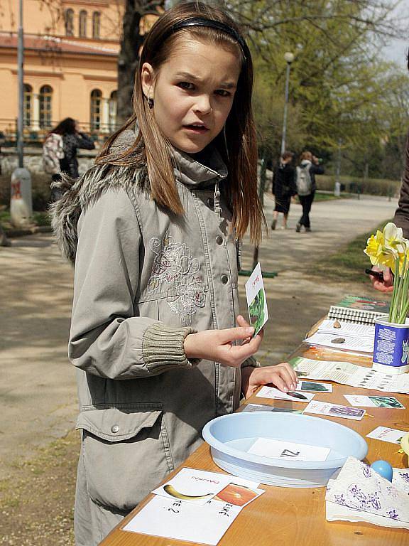 Ekologická organizace a středisko volného času Lužánky přichystaly pro Brňany oslavy Dne Země.