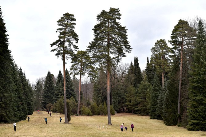 Arboretum Řícmanice mezi Řícmanicemi a Babicemi nad Svitavou na Brněnsku se 26. února 2022 po třech letech otevřelo veřejnosti.