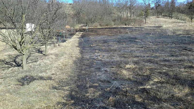 Plné ruce práce měli už od sobotního rána hasiči. Kvůli požárům trávy, lesních porostů a stromů museli zasáhnout jen do šesti hodin večer na desítce míst.