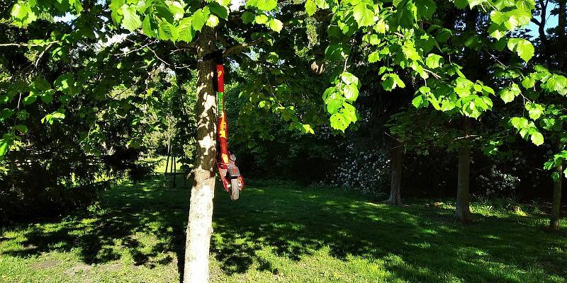 Někteří uživatelé sdílené koloběžky parkují třeba do koruny stromů v brněnském parku Lužánky.