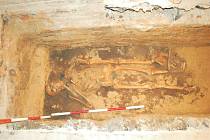 Kostry objevili archeologové z ve sklepě domu ve Staňkově ulici v Brně.
