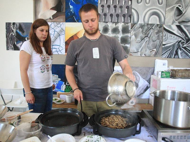 Ačkoli šlo o první ročník, hned měl Extreme food festival stovky návštěvníků. Sešli se v sobotu v lužáneckém parku, kde mohli najít nejen „extrémní" stánek s hmyzími specialitami, ale také další zástupce kuchyní ze vzdálených částí světa.