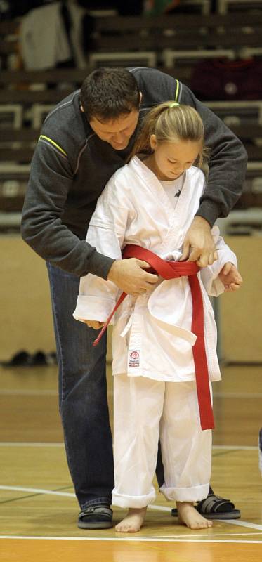 V Brně se konal Hausnerův národní putovní pohár v karate.