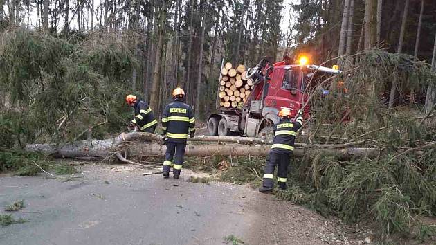 Jihomoravští hasiči vyjížděli k několika desítkám událostí. Především se jednalo o popadané stromy.