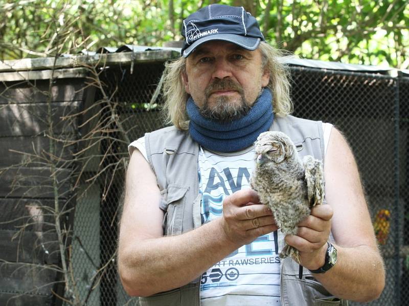 Záchranná stanice Ptačí centrum v Černovicích opatruje nejen opeřence, ale i další nalezená zvířata.