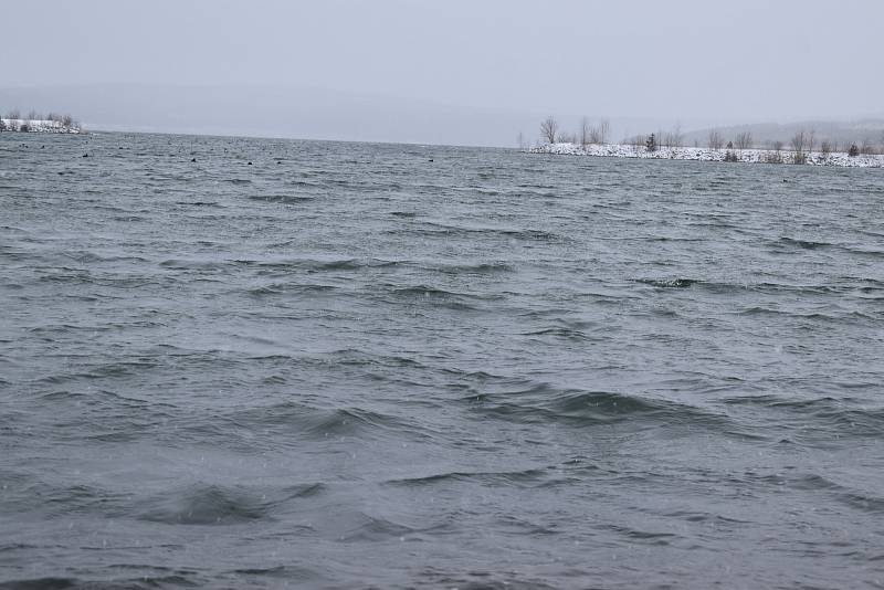 Jezero Medard.