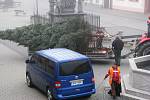 Usazení vánočního stromu v Sokolově.