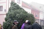 Usazení vánočního stromu v Sokolově.