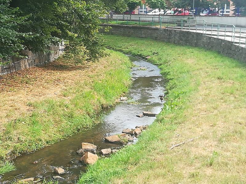 Svatava a Lobezský potok