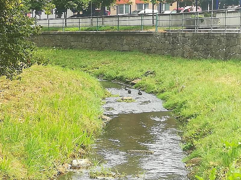 Svatava a Lobezský potok