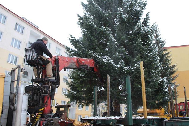 Kácení vánočního stromu v Kraslicích.