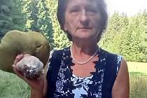 Pěkný houbařský úlovek od paní Mileny