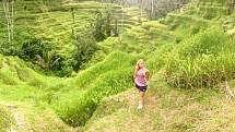 RÝŽOVÉ terasy na Bali. Své cestování hodlá Lucie dopodrobna vyprávět na připravovaných webových stránkách. 