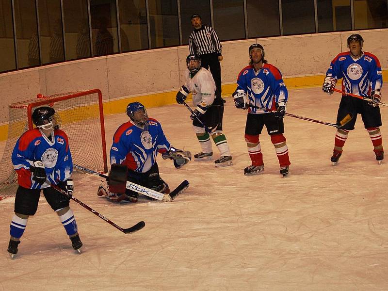 HC Březová - AH Medvědi Cheb 1:3