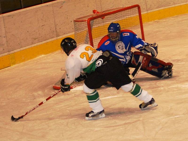 HC Březová - AH Medvědi Cheb 1:3