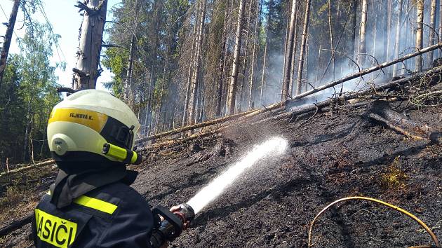 Lesní požár u Kraslic dohašovali a hlídali celou noc. Místo nadále monitorují.
