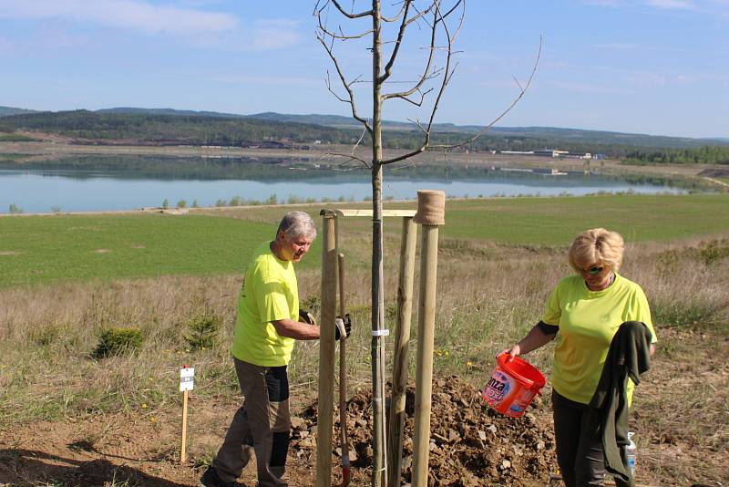 Sto rodin z Karlovarského kraje vysadilo u příležitosti 100. výročí vzniku republiky 100 stromů dubu zimního. Výsadba se uskutečnila v sobotu 28. dubna 2018 na březích nově vzniklého jezera Medard.