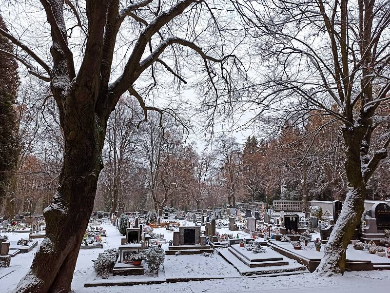 Sokolovský hřbitov