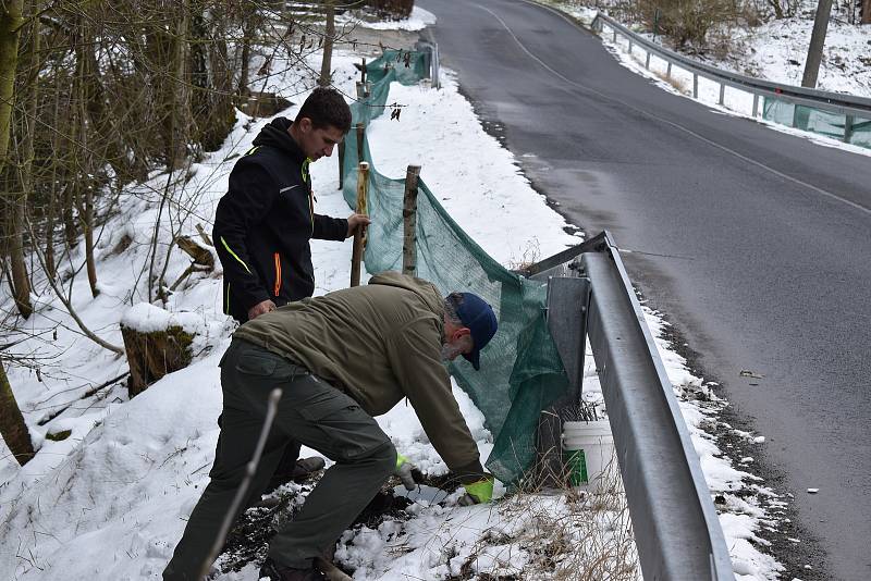 Natahují u silnice zábrany. Chtějí tak zamezit masakru žab.