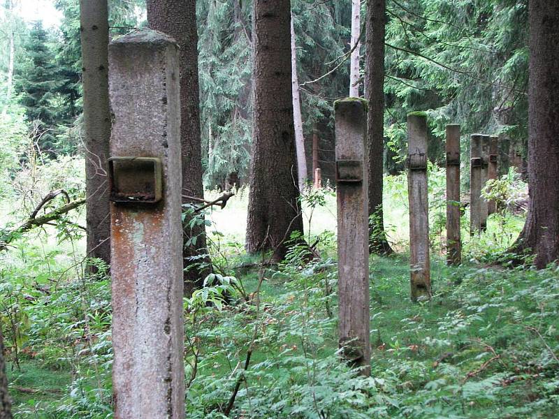 SRBSKÝ HŘBITOV dnes připomíná velký kříž a několik malých náhrobků. Kolem jsou také patrné betonové sloupky z původního oplocení.