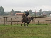 Westernové hobby závody v Krajkové