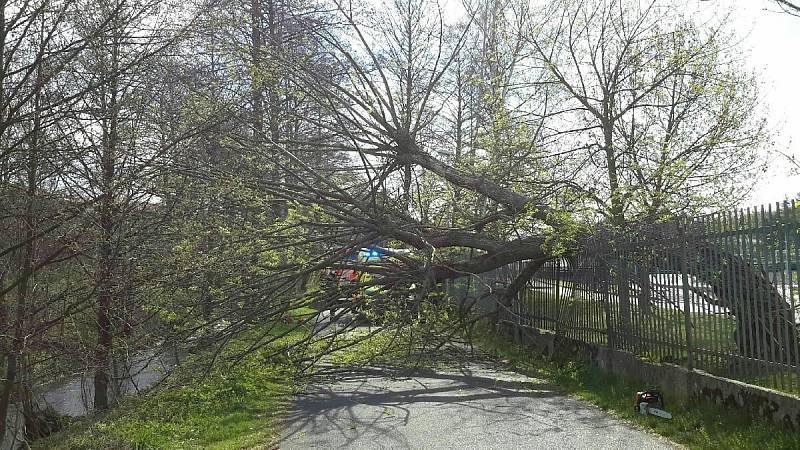 V Sokolově padl vzrostlý strom na cyklostezku a zasáhl procházející ženu se dvěma dětmi.