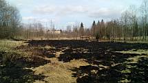 Požár trávy v Krásně na Sokolovsku.