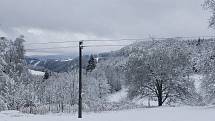 Mokrý sníh lámal stromy. Zasahovat museli hasiči i energetici.