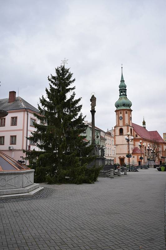 Vánoční strom na sokolovském Starém náměstí