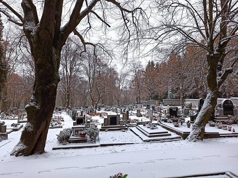 Sokolovský hřbitov