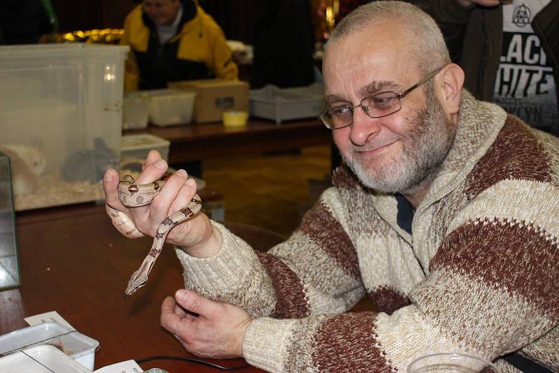 Akvatera trhy se konají v chodovském KASSu pravidelně jednu sobotu v měsíci a jsou stále oblíbenější.