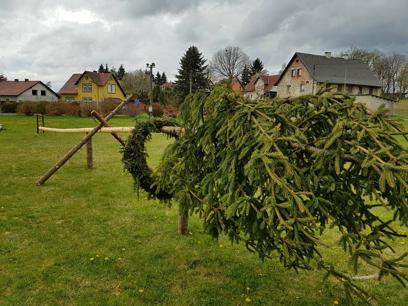 Příprava na stavění máje v Jindřichovicích