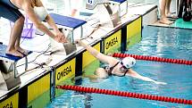 Už 15. ročník Pohárku se uskutečnil v plaveckém bazénu Sokolov.