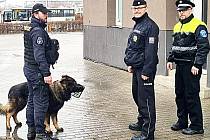 Policisté se psy vyrážejí do problémových lokalit v Sokolově.