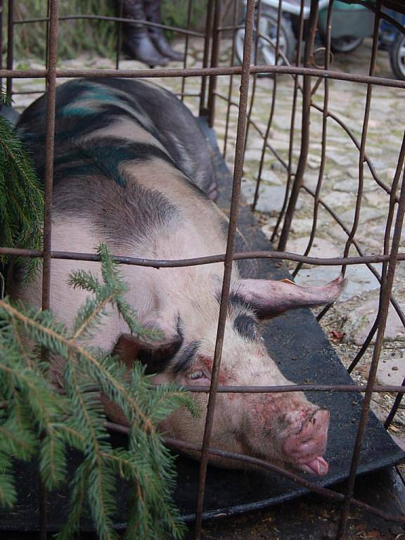 Na hradě Loket se po celý víkend bavili návštěvníci při Pohanských vánocích starých Slovanů.