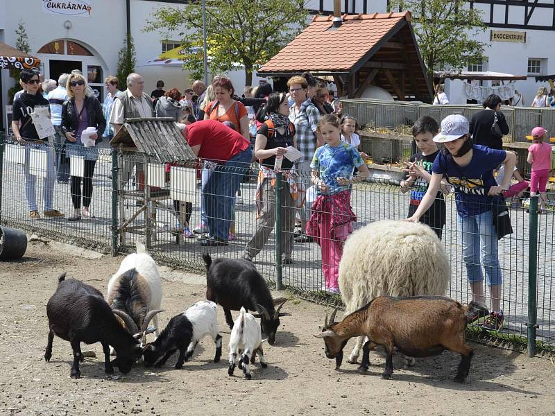 Tradiční řemesla našim dětem