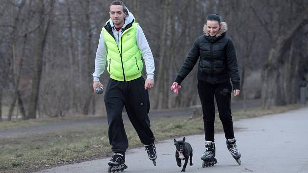 BRUSLIT se psy na in linové dráze v Sokolově je zákazané