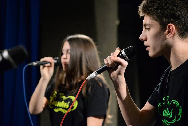 Benefiční koncert pro Nelinku s podtitulem Pomozme Nelince prošoupat botičky.