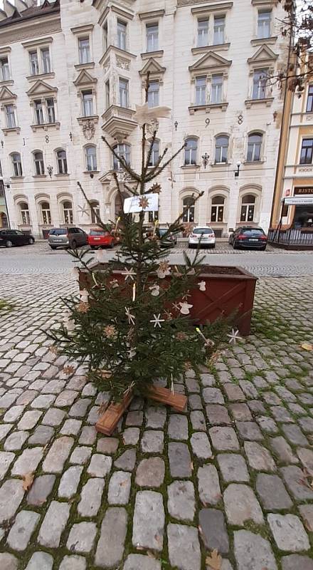 Stromky na loketském náměstí ozdobily děti.