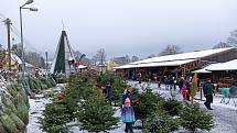 Trh s vánočními stromky Wohlhausen