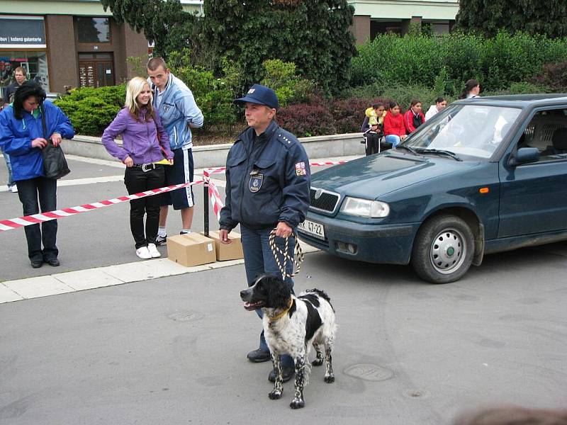 Ukázka práce psovodů Věznice Kynšperk nad Ohří. 