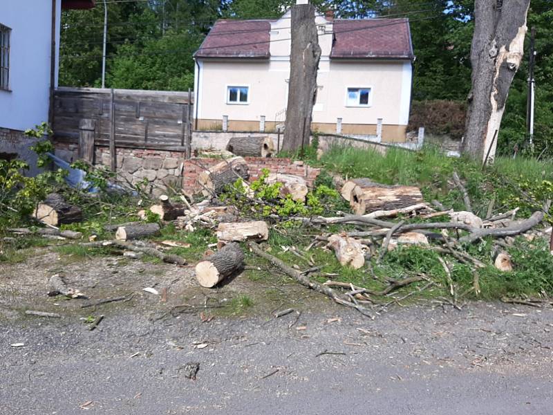 Nebezpečné stromy u hlavní silnice v Kraslicích po letech zmizely.