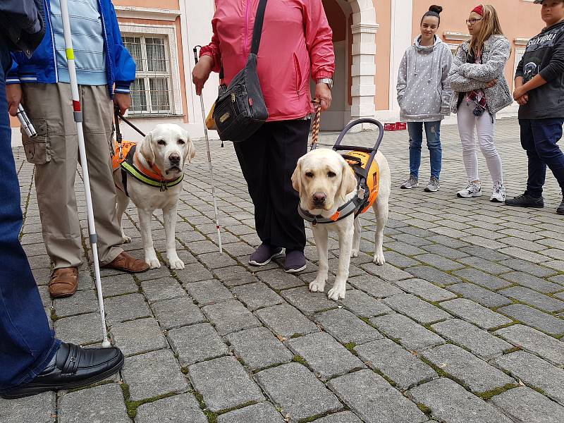 Den s Tyflocentrem v sokolovském zámku