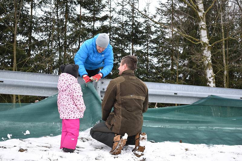 Natahují u silnice zábrany. Chtějí tak zamezit masakru žab.