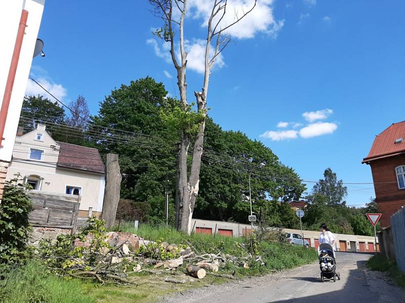 Nebezpečné stromy u hlavní silnice v Kraslicích po letech zmizely.