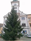 Strom na loketském náměstí se rozsvítí v neděli bez účasti veřejnosti.
