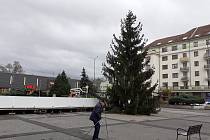 Vánoční strom na sokolovském náměstí Budovatelů