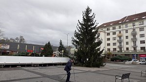 Vánoční strom na sokolovském náměstí Budovatelů
