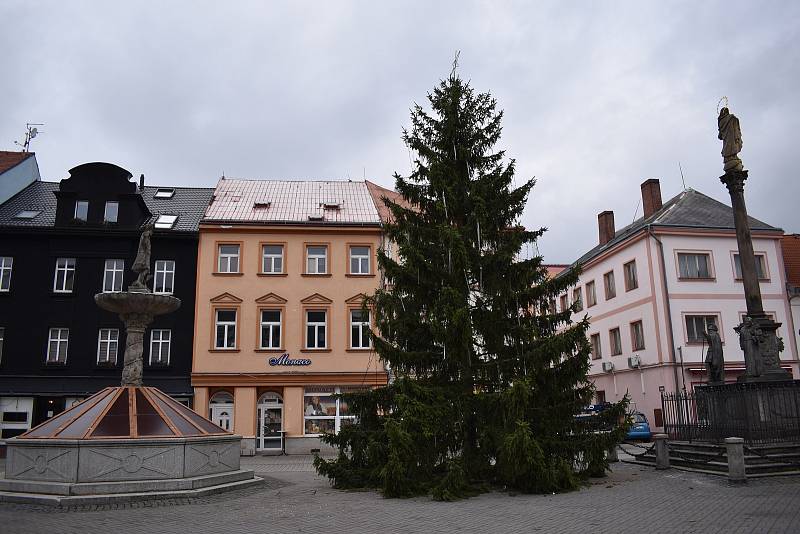 Vánoční strom na sokolovském Starém náměstí